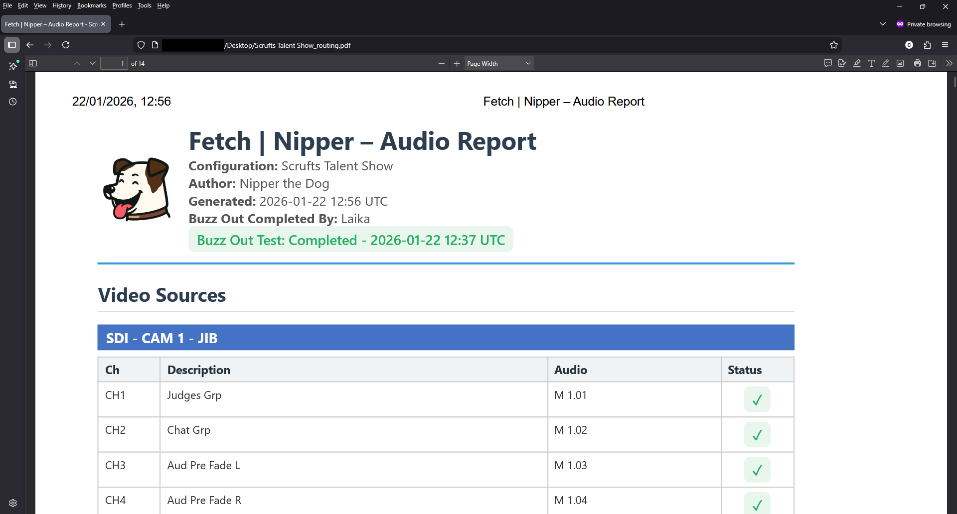 Nipper PDF audio report in browser showing configuration metadata, buzz out test status, and video sources table
